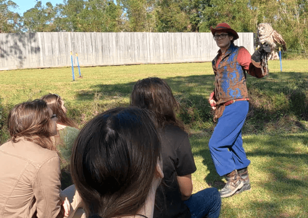 Falconry Show, showing falcons, owls, and hawks flying freely.