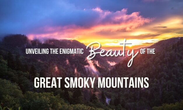 Beauty of the Great Smoky Mountains