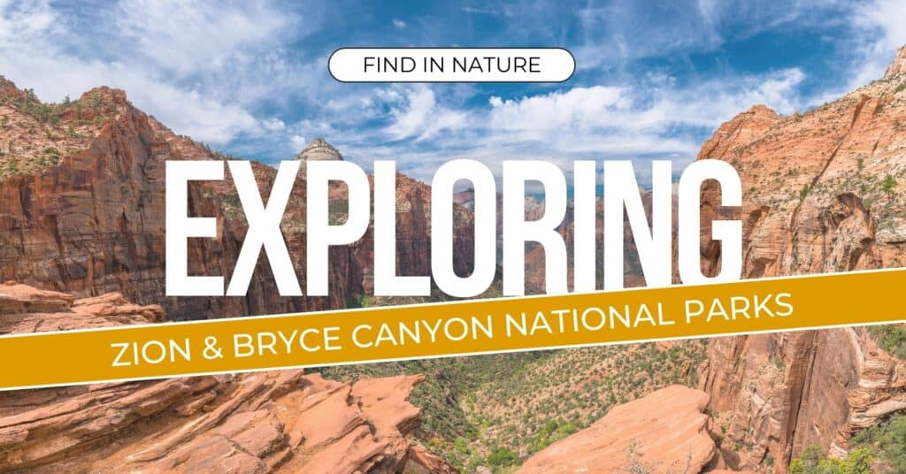 Exploring Zion & Bryce Canyon national parks.