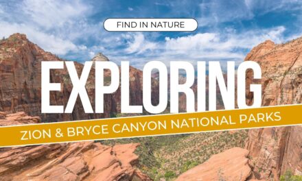 Visiting Zion & Bryce Canyon National Parks