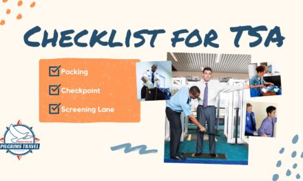 Checklist For TSA And Air Travel